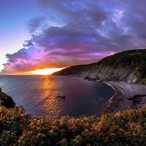 Meet your Posher, Ray